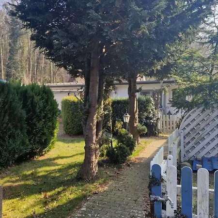 Wald Und Koserow